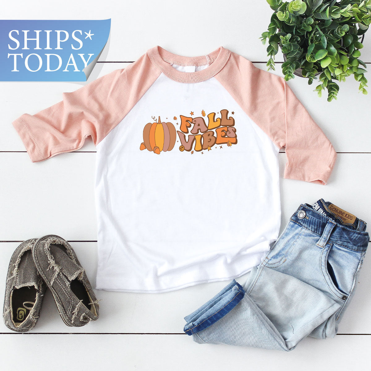 Fall Vibes Shirt, Thanksgiving 2022 Fall T-Shirt, 2022 Fall Tee
